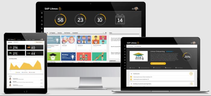 sap Litmos overview